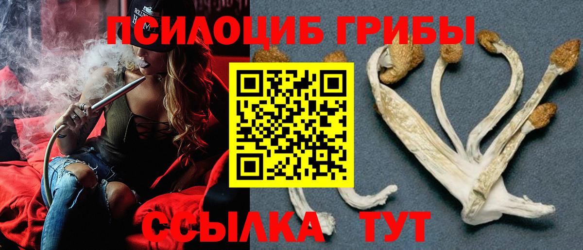 Галлюциногенные грибы GOLDEN TEACHER Новочебоксарск