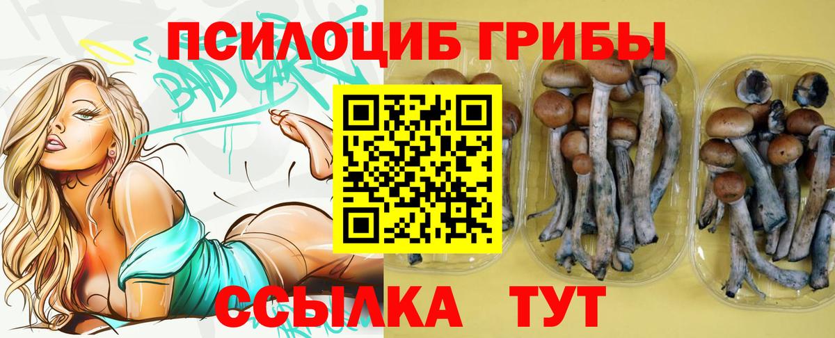 Псилоцибиновые грибы Cubensis  Вход с VPN  Новочебоксарск 